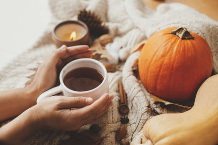 Cozy autumn slow living. Hands holding warm cup of tea on stylish knitted sweater with pumpkins, autumn leaves, burning candle.  Happy Thanksgiving. Hello fall seasonの写真素材