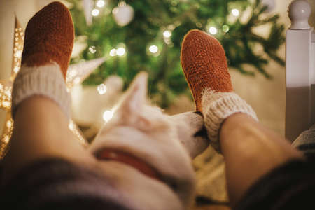 Cute dog sniffing cozy woolen socks on woman feet on background of christmas tree and star in lights...
