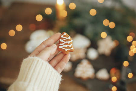 Hand in cozy sweater holding christmas tree gingerbread cookie on rustic moody background with warm lights. Winter hygge. Merry Christmas and Seasons greeting. Moody imageの写真素材