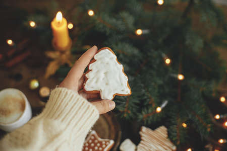 Hand in cozy sweater holding christmas tree gingerbread cookie on rustic moody background with warm...