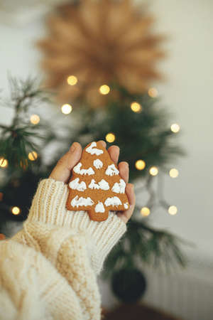 Hand in cozy sweater holding gingerbread cookie star on rustic moody background with warm lights....