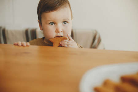 Cute little girl eating freshly baked gingerbread cookie close up. Authentic lovely moment, holiday preparations. Adorable funny toddler tasting christmas cookies from tableの写真素材