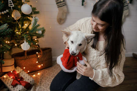 Stylish woman in cozy sweater playing with santa hat with adorable dog at christmas tree. Young happy female playing with cute white dog in festive scandinavian room. Pet and winter holidaysの写真素材