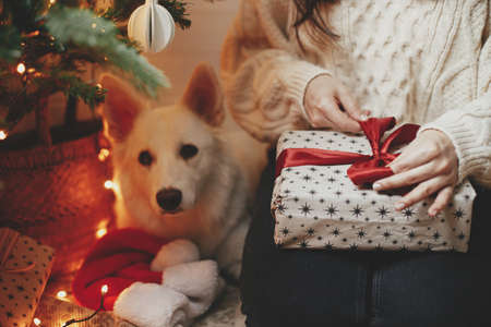Woman hands in cozy sweater wrapping christmas gift with adorable dog under christmas tree with lights. Young female wrapping present with red ribbon in festive scandinavian room. Happy holidaysの写真素材
