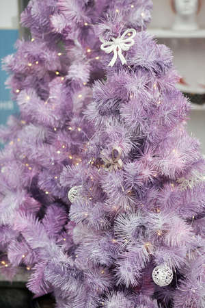 Modern purple christmas trees with ornaments and lights in store front or building facade. Stylish Christmas festive street decor in european city for winter holidays. Merry Christmasの写真素材
