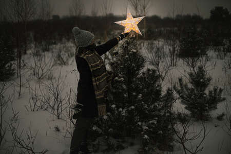 Merry Christmas! Woman putting big illuminated Christmas star on pine tree in snowy winter park at night. Magical Winter time. Stylish hipster female decorating christmas tree. Xmas miracleの写真素材