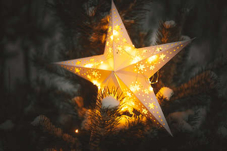 Merry Christmas! Big Christmas star glowing on snowy pine tree in winter park at night, close up. Space for text. Atmospheric magic winter time. Illuminated christmas star in evening. Xmas miracleの写真素材