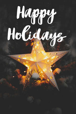 Happy Holidays text on big Christmas star glowing on snowy pine tree in winter park at night....