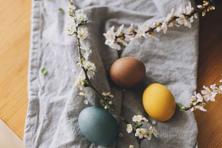 Happy Easter! Easter eggs on rustic table with cherry blossoms. Natural dyed colorful eggs on linen...