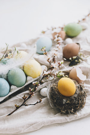 Stylish Easter eggs and cherry blossom on rustic linen background. Happy Easter! Natural dyed...