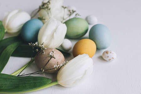 Happy Easter! Stylish Easter eggs and tulips on rustic white wooden background. Natural dyed colorful eggs and spring flowers composition, tender atmospheric image. Greeting cardの写真素材