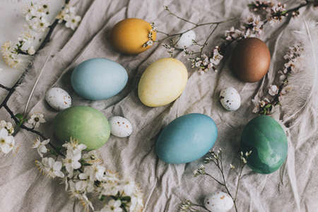 Happy Easter! Stylish Easter eggs and cherry blossoms on rustic linen cloth. Natural dyed colorful...