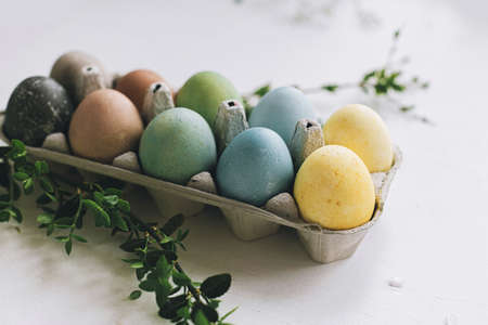 Stylish Easter eggs and green branch on rustic white wooden background. Happy Easter! Natural dyed colorful eggs in tray and spring branches on rustic tableの写真素材