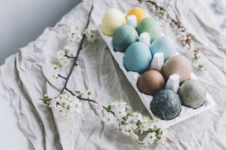 Stylish Easter eggs and cherry blossoms on rustic linen cloth. Happy Easter!  Natural dyed colorful...