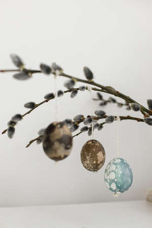 Easter rustic still life. Natural dyed easter eggs hanging on willow branches on wooden table. Happy...