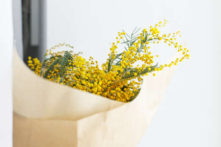 Stylish mimosa bouquet on white background. Happy womens day and Happy Mothers day. Beautiful mimosa flowers in craft paper near window close up. 8 march concept. Hello springの写真素材