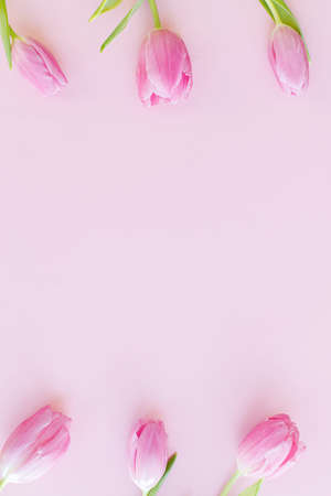Pink tulips flat lay on pink background. Floral Greeting card template with space for text. Stylish minimal tender spring image. Happy womens day. Happy Mothers day. Hello springの写真素材
