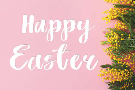 Happy Easter text on mimosa flowers flat lay on pink background. Stylish seasons greeting card....