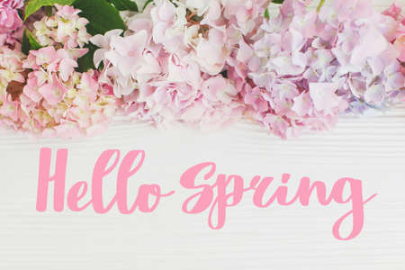 Hello Spring text on beautiful hydrangea flowers border on rustic white wood. Stylish greeting card....
