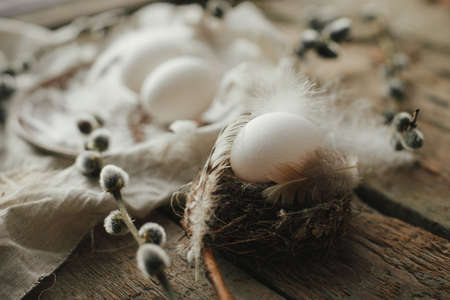 Rustic Easter still life. Natural egg in nest with feathers, vintage plate,  pussy willow branches...