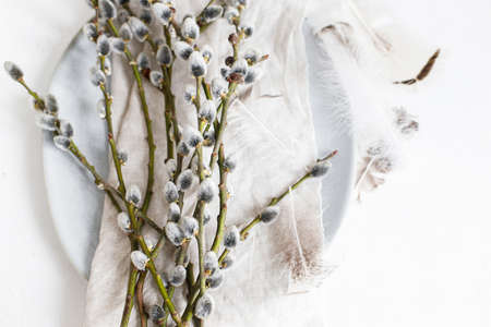 Pussy willow branches and feathers on modern plate on napkin on white wooden table. Top view. Modern Easter table decoration. Easter still lifeの写真素材
