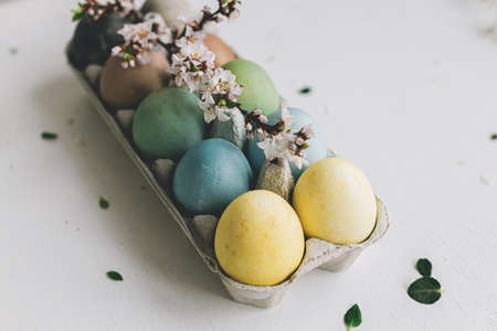 Stylish Easter eggs and cherry blossoms on rustic white wooden background. Happy Easter! Natural...