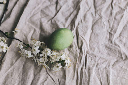 Happy Easter! Stylish Easter egg and cherry blossom on rustic linen cloth. Natural dyed green pastel egg and spring flowers rustic minimal composition. Holiday background, space for textの写真素材