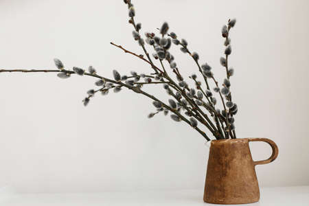 Modern rustic Easter still life. Willow branches in stylish vase on wooden table. Pussy willow branches in home, natural spring decor. Simple Easter rural minimal aesthetics. Space for textの写真素材
