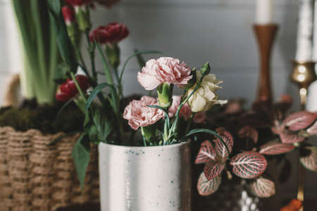 Beautiful spring bouquet in sunlight on wooden shelf. Pink carnation and plants in boho room,...