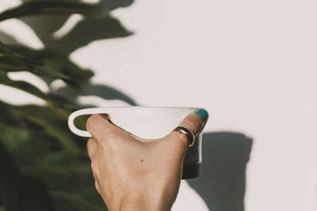 Morning coffee aesthetic. Hand holding stylish ceramic minimalist cup of coffee in sunny room with plants. Modern cup in female hand in sunlight.の写真素材
