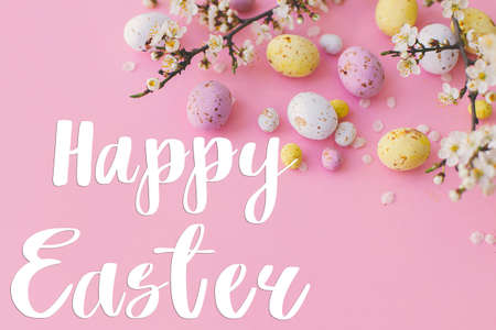 Happy Easter text and colorful Easter chocolate eggs and cherry blossoms border on pink background....