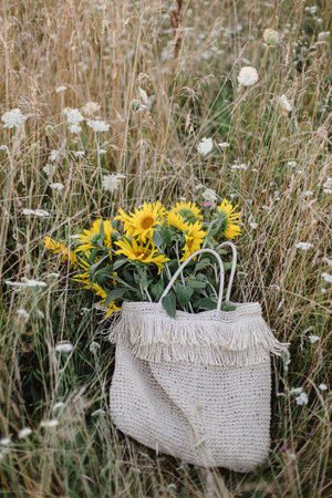 Beautiful sunflowers in straw bag in summer meadow in evening. Tranquil atmospheric moment in...