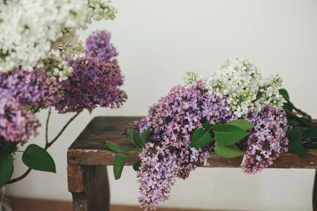 Beautiful lilac flowers on wooden chair. Spring floral still life on rustic background. Purple and...