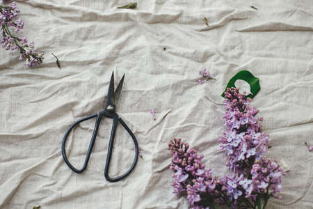 Beautiful lilac flowers, scissors and petals on linen fabric flat lay. Spring floral still life on rustic background. Happy mothers dayの写真素材
