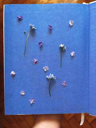 Beautiful blue flowers on blue paper pattern, floral wallpaper. Creative spring details. Blooming forget me nots petals flat lay in book for press. Vertical phone photoの写真素材