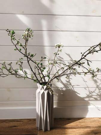 Blooming cherry branch in stylish vase on sunny wooden background in scandinavian room. Home Decor...