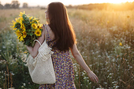 Beautiful woman gathering sunflowers in warm sunset light in summer meadow. Tranquil atmospheric moment in countryside. Stylish young female in floral dress holding sunflowers in evening fieldの写真素材
