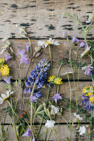 Beautiful wildflowers flat lay on rustic wooden background. Gathering and arranging flowers at home in countryside. Colorful summer wild flowers bouquet compositionの写真素材