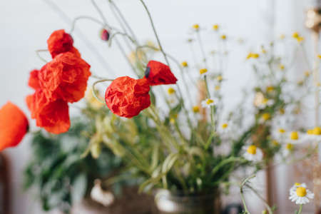 Beautiful poppy flowers on rustic table in sunny room. Gathering and arranging flowers at home in countryside. Red poppy flowers and daisy in glass vaseの写真素材