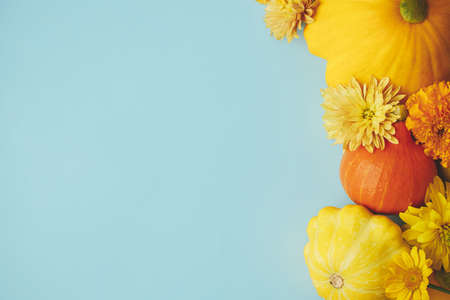Stylish autumn flat lay. Yellow autumn flowers, pumpkins, pattypan squash on blue paper. Seasons greeting card template with space for text. Hello Fall. Happy Thanksgiving! Autumn bannerの写真素材