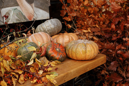 Pumpkin decoration outdoors. Stylish autumn decor of exterior building. Pumpkins and red leaves...