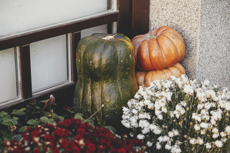 Pumpkins with flowers, rustic decoration outdoors. Stylish autumn decor of exterior building....