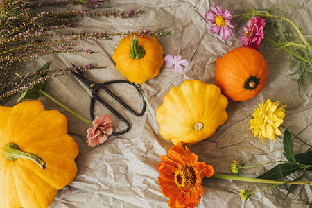 Autumn still life. Pumpkins , scissors and autumn flowers composition on rustic paper in modern room. Hello fall. Happy Thanksgiving card. Autumnal bannerの写真素材