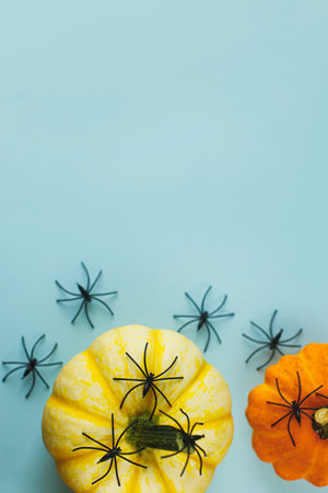 Happy Halloween! Black spiders decorations on pumpkins on blue background. Halloween flat lay. Card template with space for text. Modern minimal borderの写真素材
