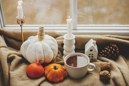 Autumn banner. Stylish warm cup of tea, candle, pumpkins on cozy wool blanket against window with rain drops. Cozy autumn rainy day. Moody fall wallpaper. Happy Thanksgivingの写真素材