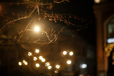 Stylish light bulbs and christmas lights on tree branches in town square in evening. Moody festive...