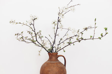 Blooming cherry branches against white wall. Spring flowers in vintage vase. Simple countryside...