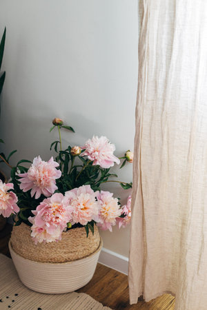 Beautiful peonies bouquet in basket near linen curtains in boho room. Modern bohemian decor, stylish comfy interior details. Gentle pink peony flowers on rustic background, atmospheric imageの写真素材