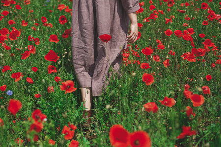 Close up of woman in rustic dress gathering  red poppy in sunny field. Cottagecore aesthetics. Young...