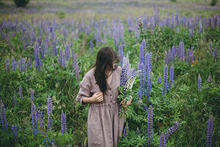 Stylish woman in rustic dress holding lupine bouquet in meadow. Cottagecore aesthetics. Young female in linen dress gathering wildflowers in atmospheric summer countryside, rural slow lifeの写真素材